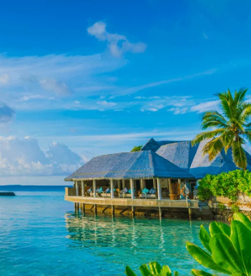 W88: Asia's Leading Online Betting Brand